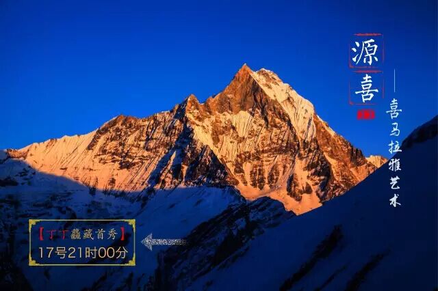 【源喜】五月大拍，遇见一场别样盛典（上）