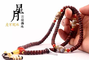 【心莲花】玄藏：拨开云雾终见月