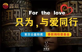 龘藏首次公益拍，只为与爱同行！